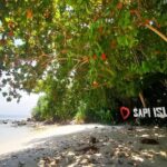Manukan and Sapi Islands Excursion in Malaysia - Exploring the Itinerary in Detail