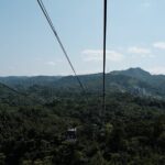 Maokong Gondola and Camphor Trail - Detailed Breakdown of the Itinerary