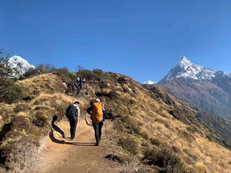Mardi Himal Base Camp Trek 7 Days - Detailed Itinerary Breakdown