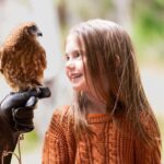 Margaret River: Birds of Prey Encounter and Forest Walk - Why This Tour Is a Great Choice