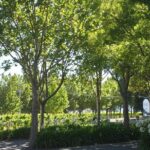 Marlborough Wine Region Tour from the Port of Picton - Detailed Breakdown of the Itinerary