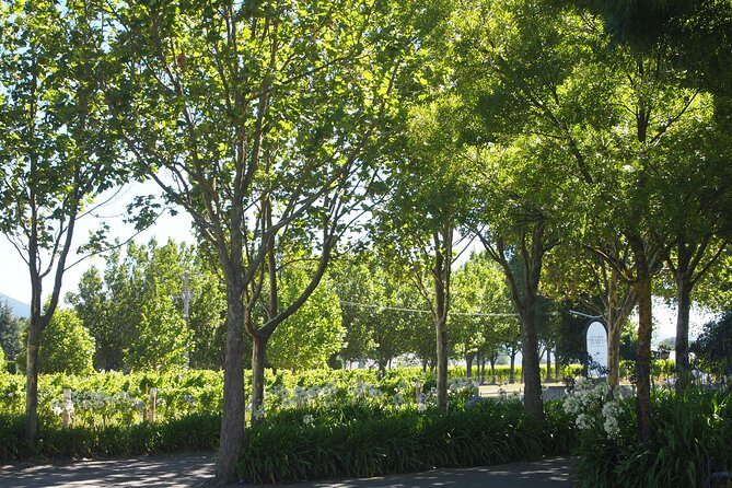 Marlborough Wine Region Tour from the Port of Picton - Detailed Breakdown of the Itinerary