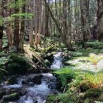 Matsumoto Mt.Hachibuse - Wildlife and Nature Encounters