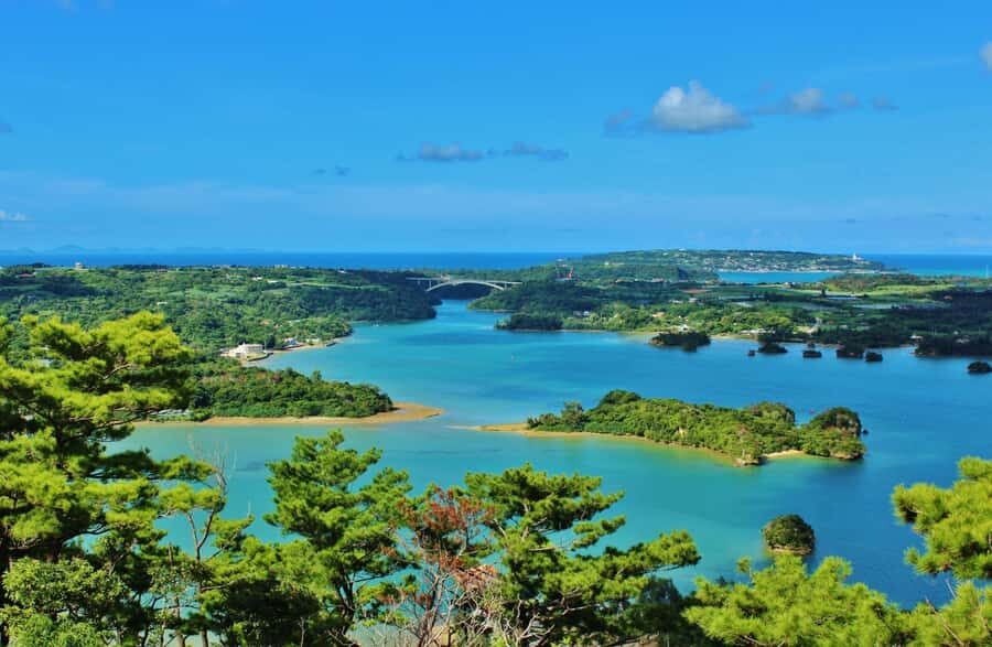 Matsushima: Scenic Bay Walk & Historic Temple Discovery - Discovering Matsushima: What the Tour Entails