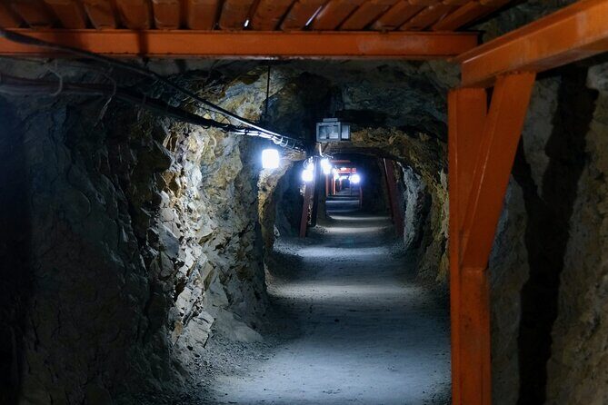 Matsushiro Samurai Town Tour from Nagano by Car - What Does This Tour Offer?