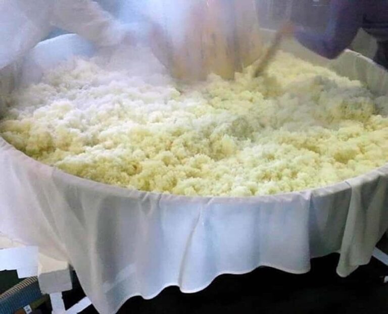 Matsuyama: Sakura Uzumaki Brewery Tour & Sake Tasting - Who Should Consider This Tour?