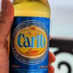 Maurice Bishop Airport Fast Track & Private Transfer Roundtrip - Why Choose the Maurice Bishop Airport Fast Track & Private Transfer?