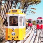 Max Out Busan: Highlight Top Attractions One Day Tour - Whats Included and What to Consider