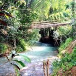Mayfield Falls, Blue Hole & Rick's Café Tours/Weed Farm option - The Experience of Guides and Transportation