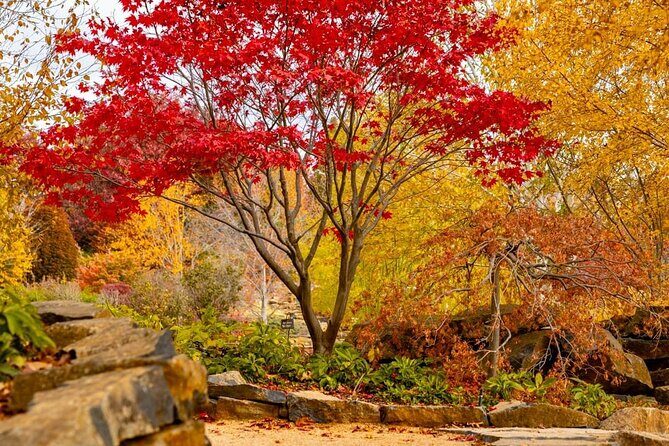Mayfield Gardens Autumn Tour from Sydney with Echo Point Stop - Analyzing the Value and Practicalities