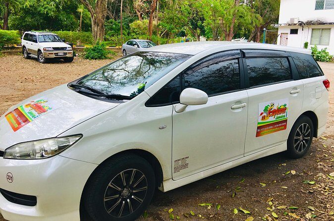 MBJ Montego Bay Airport Transportation to Riu Ocho Rios Jamaica - What Makes This Transfer Stand Out?