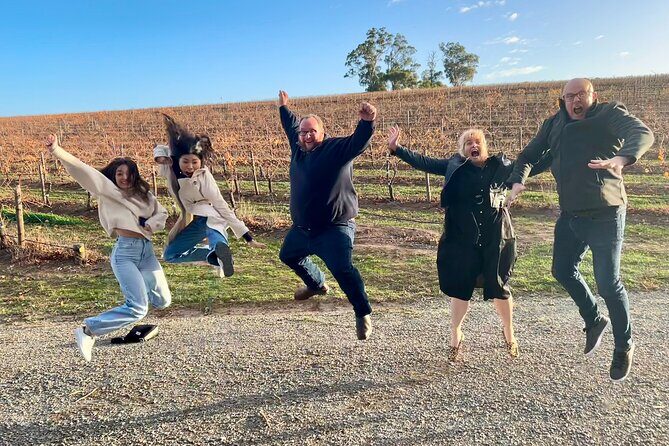 McLaren Vale Private Tour inc Premium Lunch & d'Arenberg Cube - A Deep Dive into the McLaren Vale Private Tour Experience