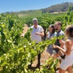 McLaren Vale Small Group Wine Tour inc d'Arenberg Cube & lunch - What Makes This Tour Stand Out?