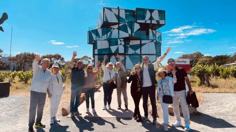 McLaren Vale with d'arenberg (4 tastings and lunch included) - The Value of This Tour