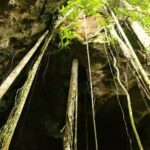 Medan: Bat Cave Exploration and Riverside Picnic - Introduction to the Tour Experience