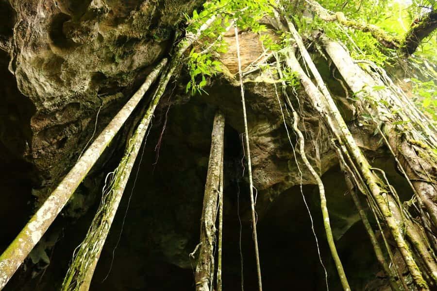 Medan: Bat Cave Exploration and Riverside Picnic - Introduction to the Tour Experience