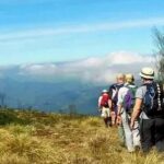 Meesapulimalai Trekking 'the second highest peak in South India' - Private Tour - Practical Tips for Your Trek