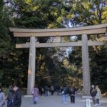 Meiji Jingu Shrine and Park Tour - Final Thoughts
