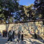 Meiji Jingu Shrine and Park Tour - Transportation and Practicalities
