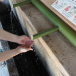 Meiji Jingu Shrine; Aoyama; Art Museums and Walking Tours - Shopping and Street Culture: Omotesando, Cat Street, and Takeshita Street