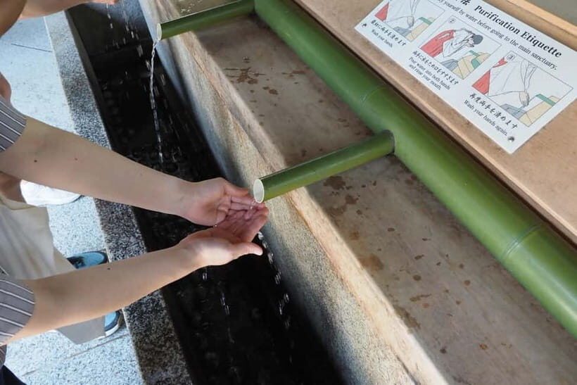 Meiji Jingu Shrine; Aoyama; Art Museums and Walking Tours - Shopping and Street Culture: Omotesando, Cat Street, and Takeshita Street