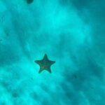 Mein Schiff from La Romana port: Catalina Island - In-Depth Look at the Catalina Island Tour