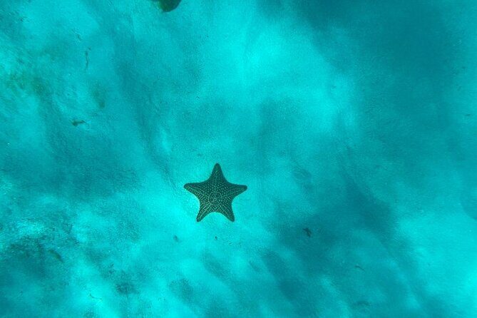 Mein Schiff from La Romana port: Catalina Island - In-Depth Look at the Catalina Island Tour