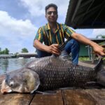 Mekong Catfish and Siamese Carp Fishing Guarantee Good Fishing - Highlights & Practical Tips for the Day