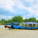 Mekong Delta Tour from Ho Chi Minh City - What’s Included and What’s Not?