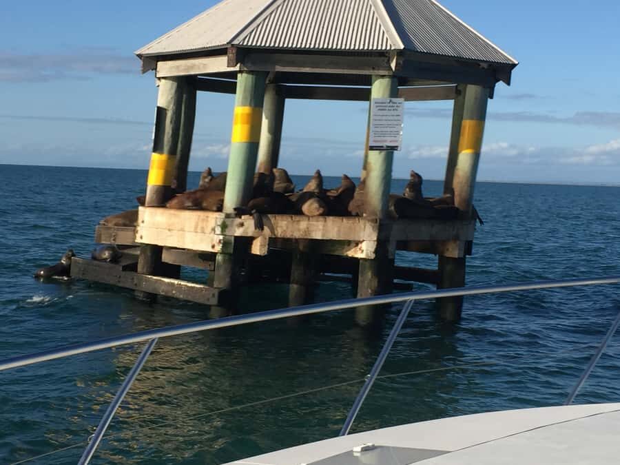 Melbourne: A Private Day Tour on a Sports Yacht on the Bay - Cruising Across Port Phillip Bay