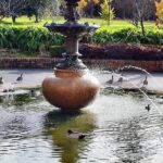 Melbourne and Moonlit Sanctuary Shore Excursion - Why We Think This Tour Works Well