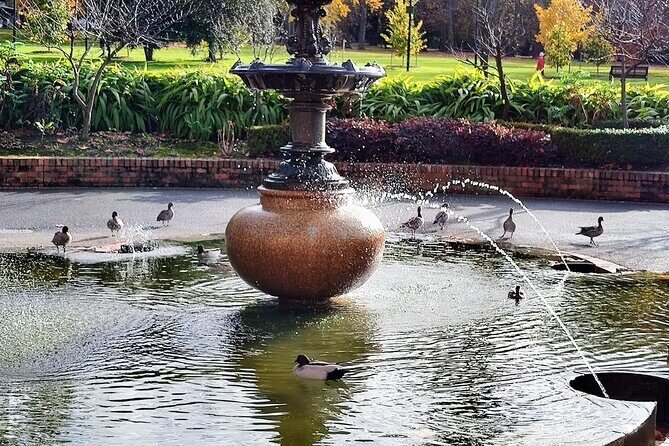 Melbourne and Moonlit Sanctuary Shore Excursion - Why We Think This Tour Works Well