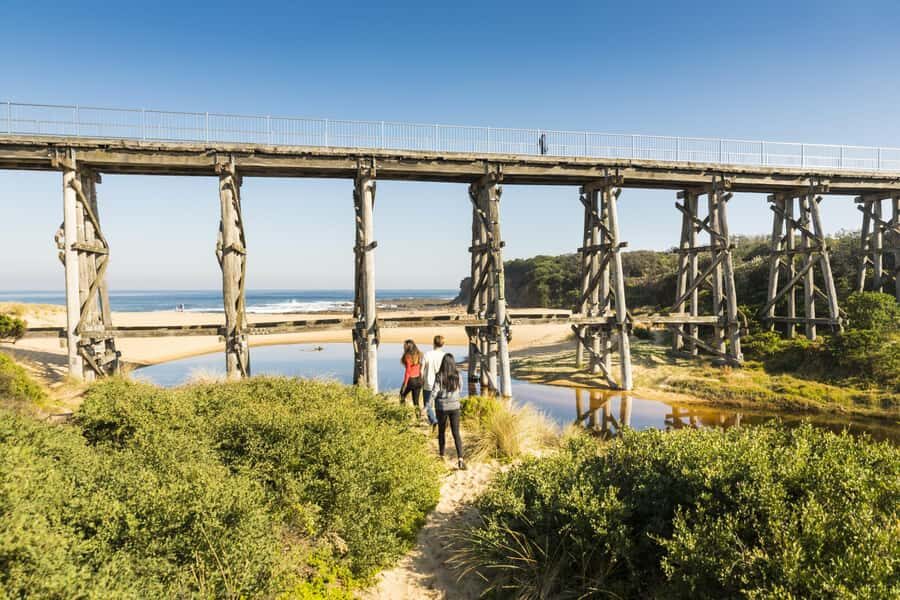 Melbourne: Bunurong Coast & Penguin Parade Day Trip - What to Expect from the Tour