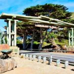 Melbourne Great Ocean Rd Reverse Tour+London Bridge Wildlife - The Value for Money