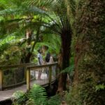 Melbourne: Great Ocean Road 12 Apostles & Rainforest Tour - What’s Included and What to Bring