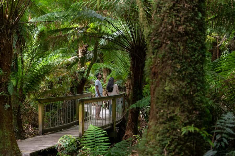 Melbourne: Great Ocean Road 12 Apostles & Rainforest Tour - What’s Included and What to Bring