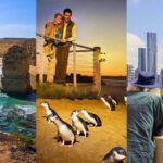 Melbourne: Great Ocean Road, Penguin Parade & Free City Tour - Overview of the Tour
