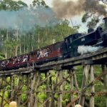 Melbourne: Half-Day Puffing Billy Steam Train Experience - Belgrave Station and the Heritage Charm