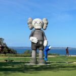 Melbourne Mornington Peninsula Private Tour include Tickets - Authentic Insights from Reviewers