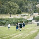 Melbourne: Mornington Peninsula Wine Tour with Lunch - Detailed Experience Analysis