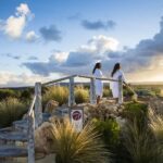 Melbourne: Peninsula Hot Springs Early Bathing & Scenic Tour - The Value of the Tour
