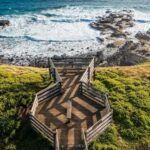 Melbourne: Phillip Island Penguin Parade Watching Day Tour - Authentic Experiences and Traveler Tips