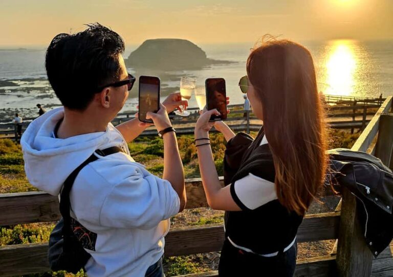 Melbourne: Phillip Island Tour w/ Hop-on Bus or Seal Cruise - Detailed Breakdown of the Itinerary