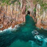 Melbourne: Phillip Island Tour with Koalas & Penguins - In-Depth Review of the Phillip Island Experience