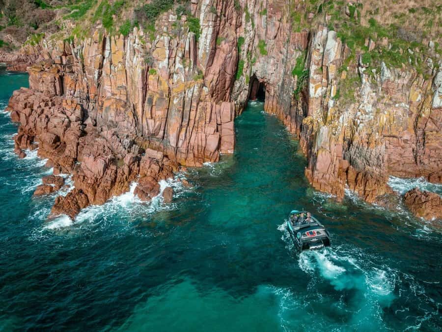 Melbourne: Phillip Island Tour with Koalas & Penguins - In-Depth Review of the Phillip Island Experience