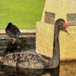 Melbourne Private Ballarat Sovereign Hill Gold Mine Tours - Practical Details and Tips