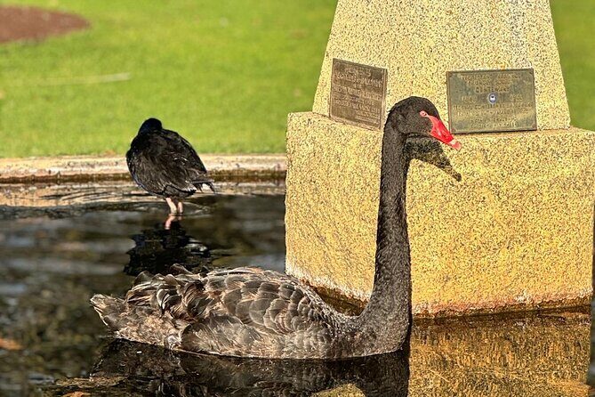 Melbourne Private Ballarat Sovereign Hill Gold Mine Tours - Practical Details and Tips