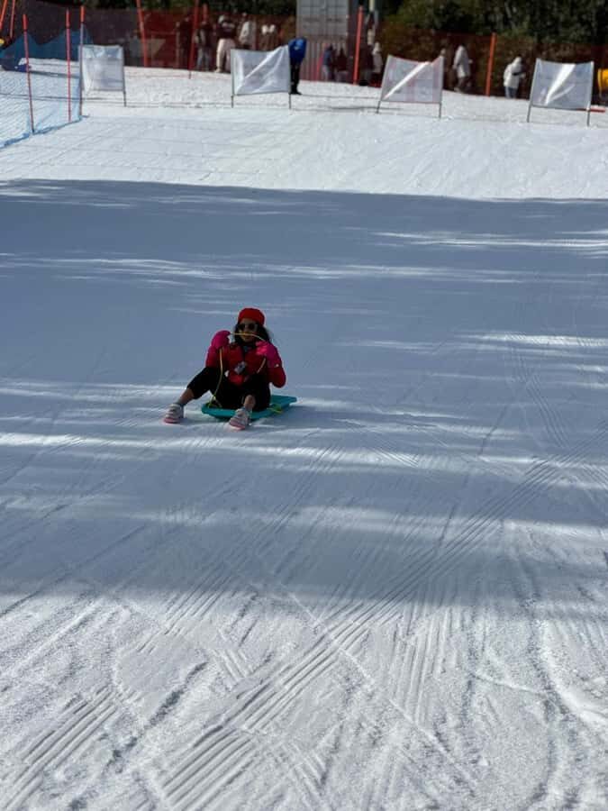 Melbourne: Private Lake Mountain Snow & Redwood Forest Tours - Authentic Experiences Shared by Guests