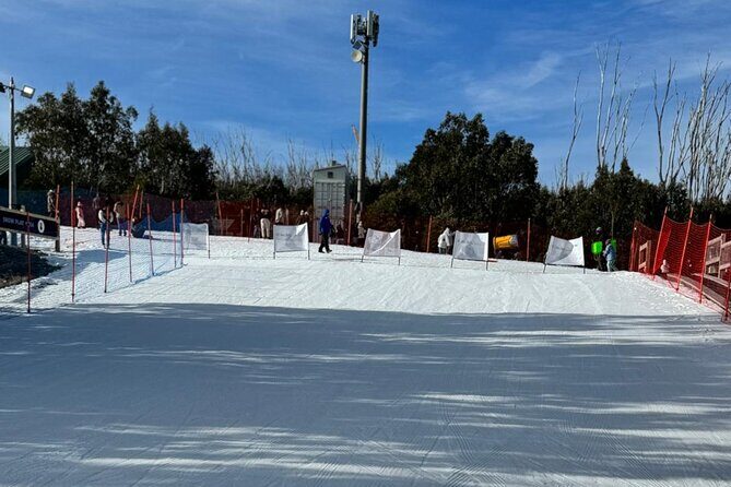 Melbourne: Private Lake Mountain Snow Tours & Redwood Rain Forest - How the Tour Comes Together