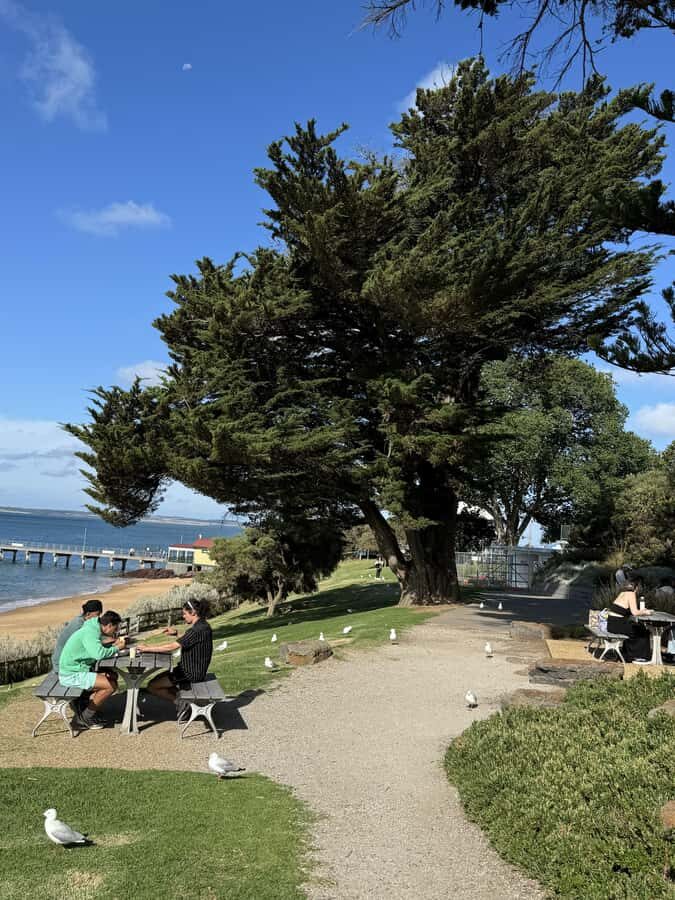 Melbourne: Private Phillip Island Penguin Parade Tours - What Makes This Tour Stand Out